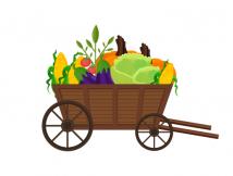 Vegetable Cart